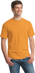 Men's 100% Cotton T-Shirt